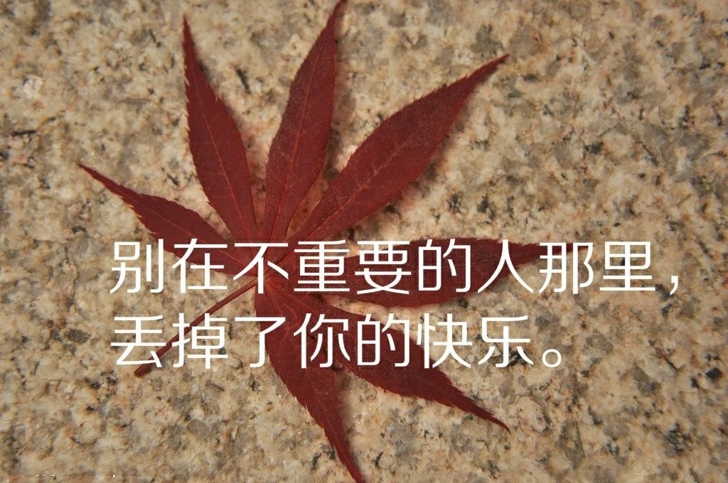 从小到大我们听到最多的是你要懂事你要有出息你要出人头地