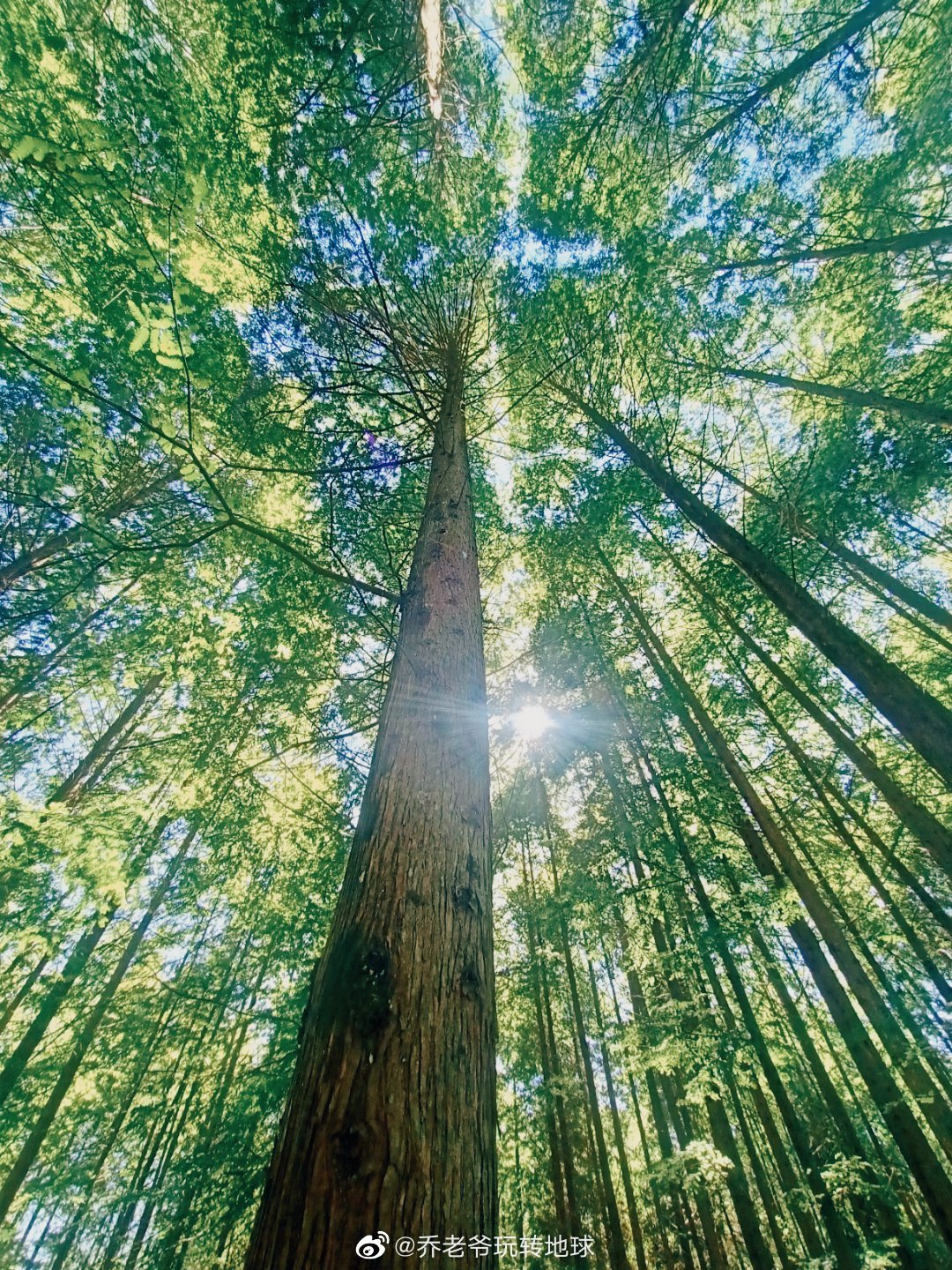 兴山榛子天气预报今日情况