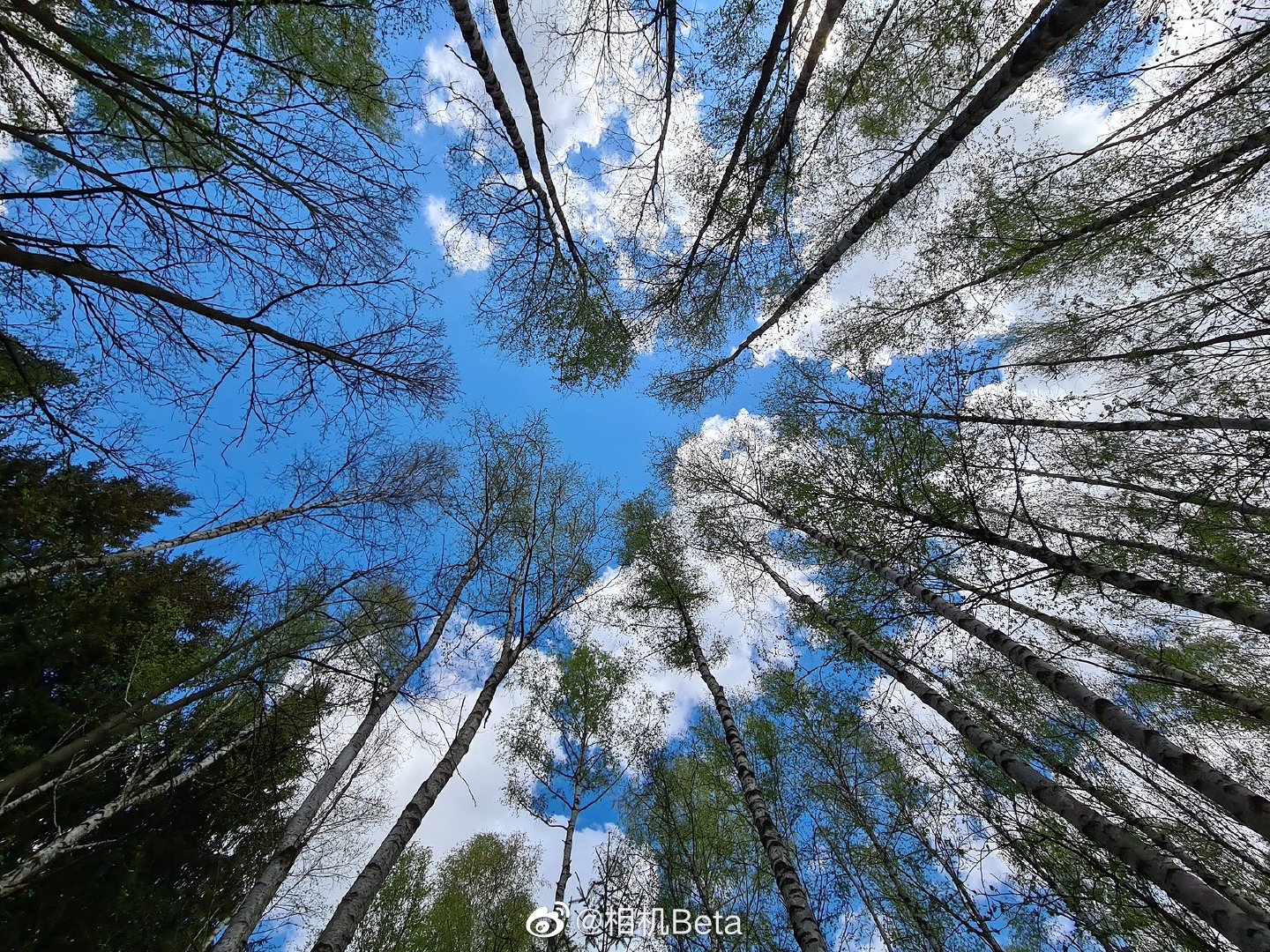 三星galaxy s20 ultra智能拍照手机真机实拍样片