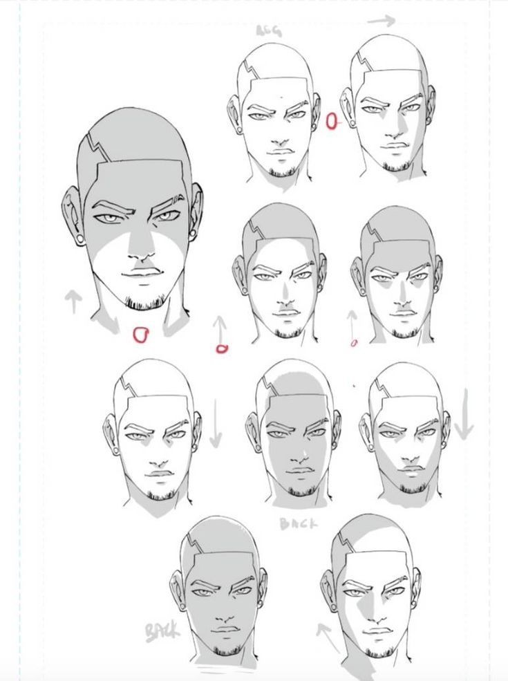 头部光影变化参考