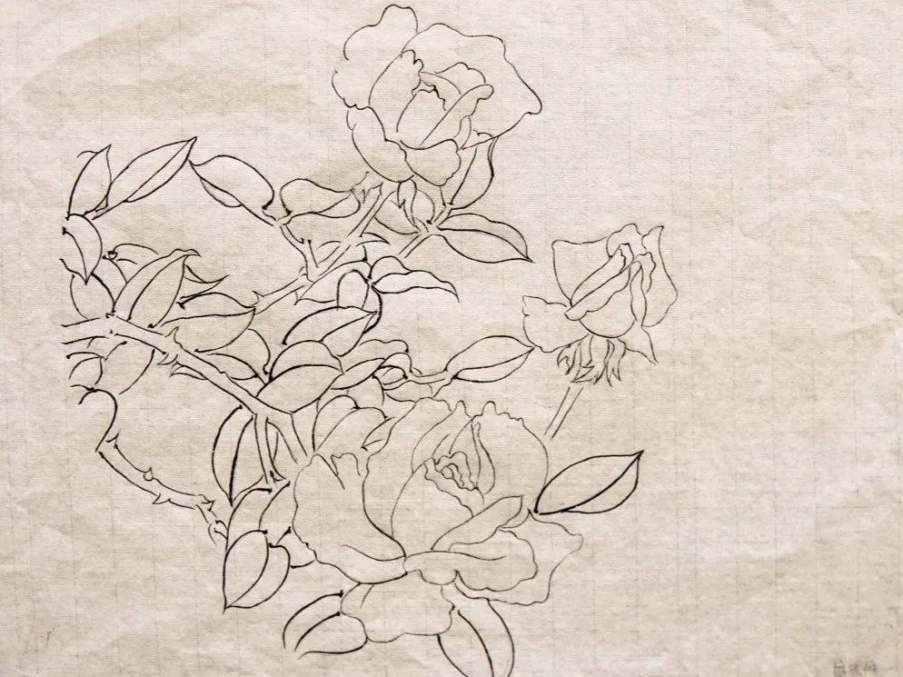 白描作品展——19网络美工