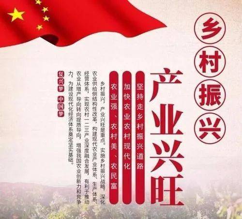 焦点|乡村振兴,产业兴旺是首要任务!|农产品|乡村|农民_新浪新闻