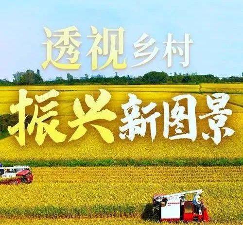 焦点|乡村振兴,产业兴旺是首要任务!|农产品|乡村|农民_新浪新闻