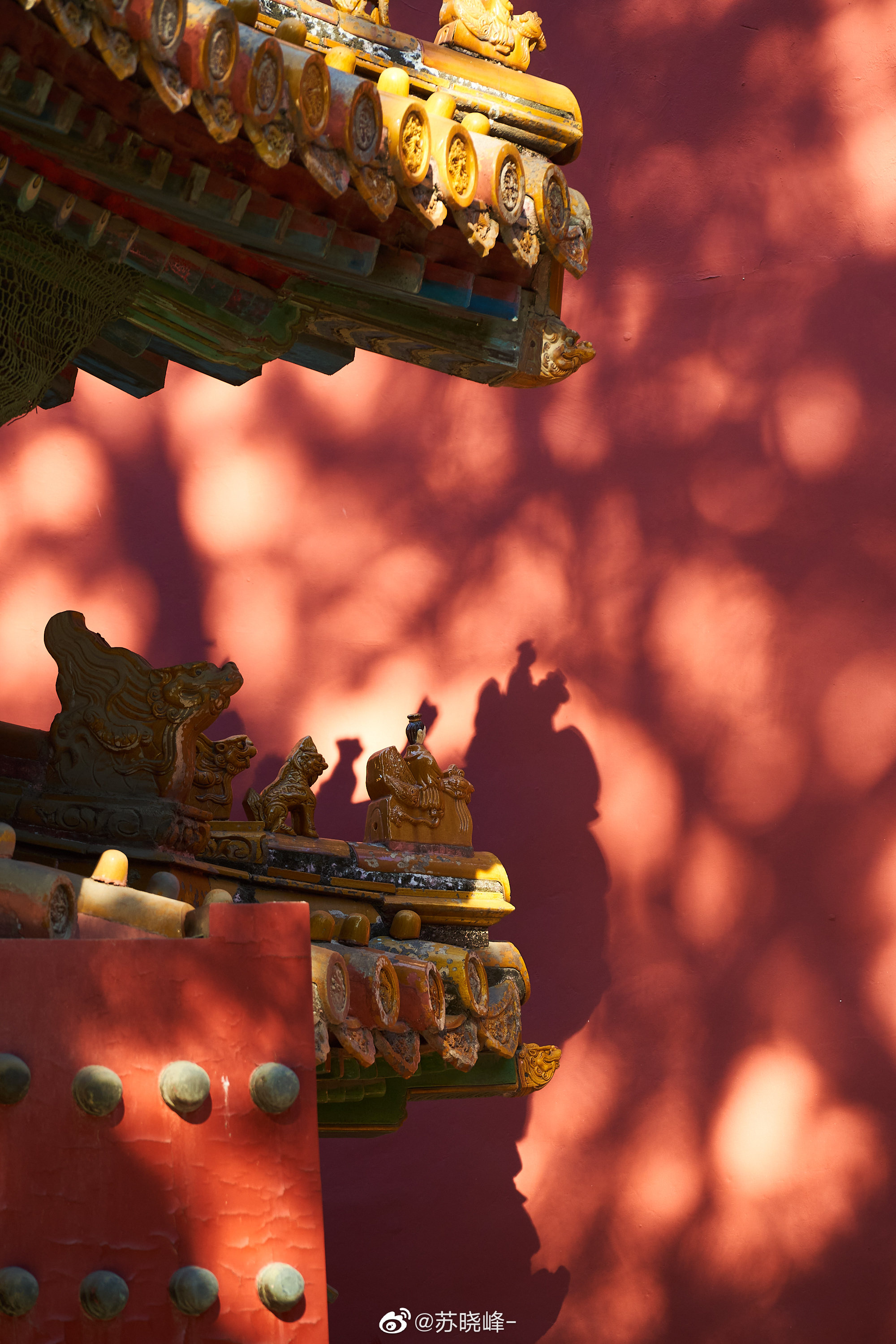 故宫秋色拾忆寿康宫的柿子坤宁西院的杏树御花园的光影