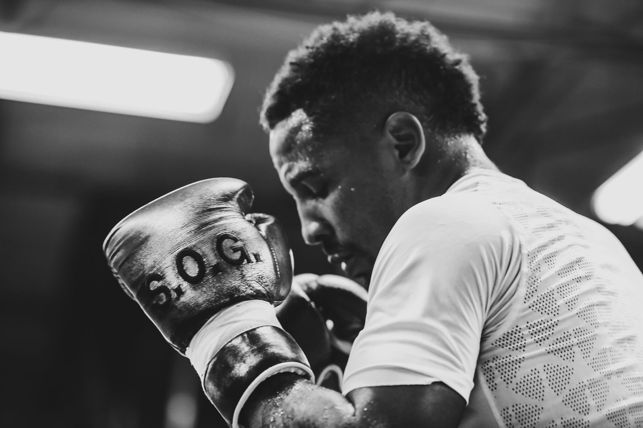 美国邹市明准备复出?拳坛天王刻苦训练,欲暴揍约书亚阿瓦雷兹