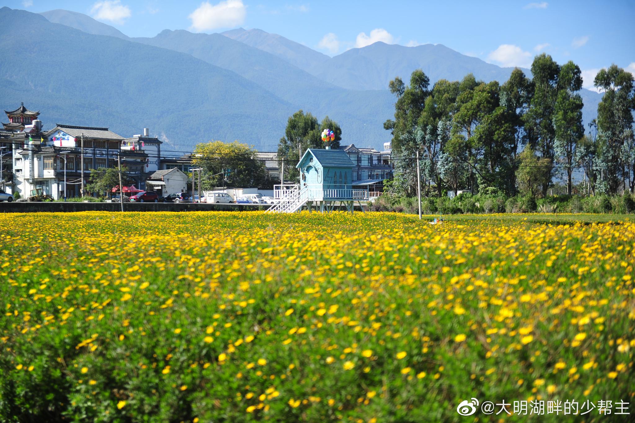 一路向西即使到了冬季去那心花路放的大理你会看到