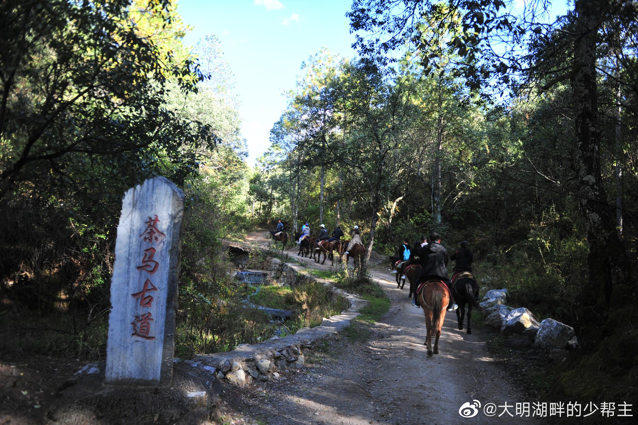 茶马古道是一条世界上自然风光最壮观,文化最为神秘的旅游绝品线路