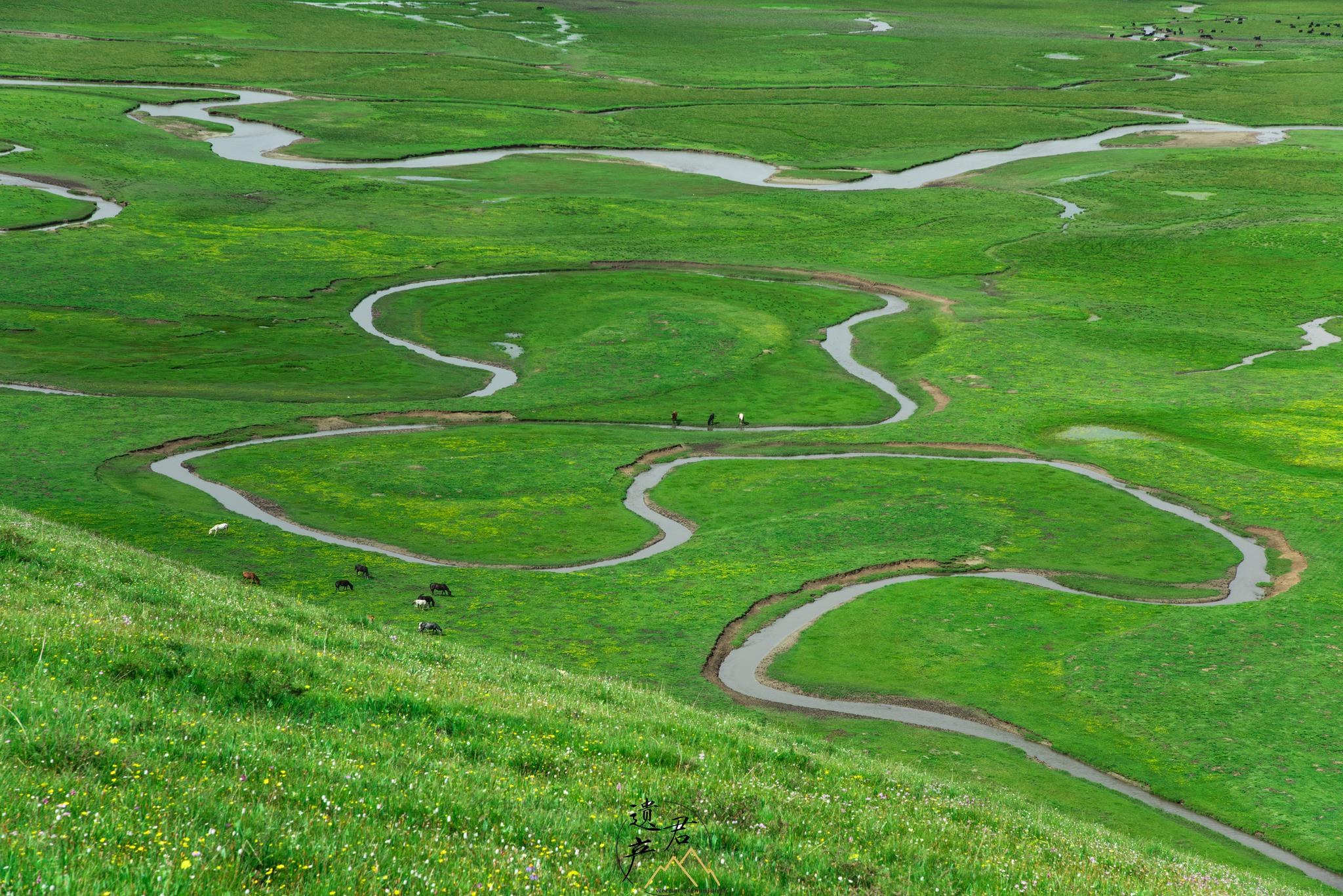 阿万仓湿地,大自然的线条和画板