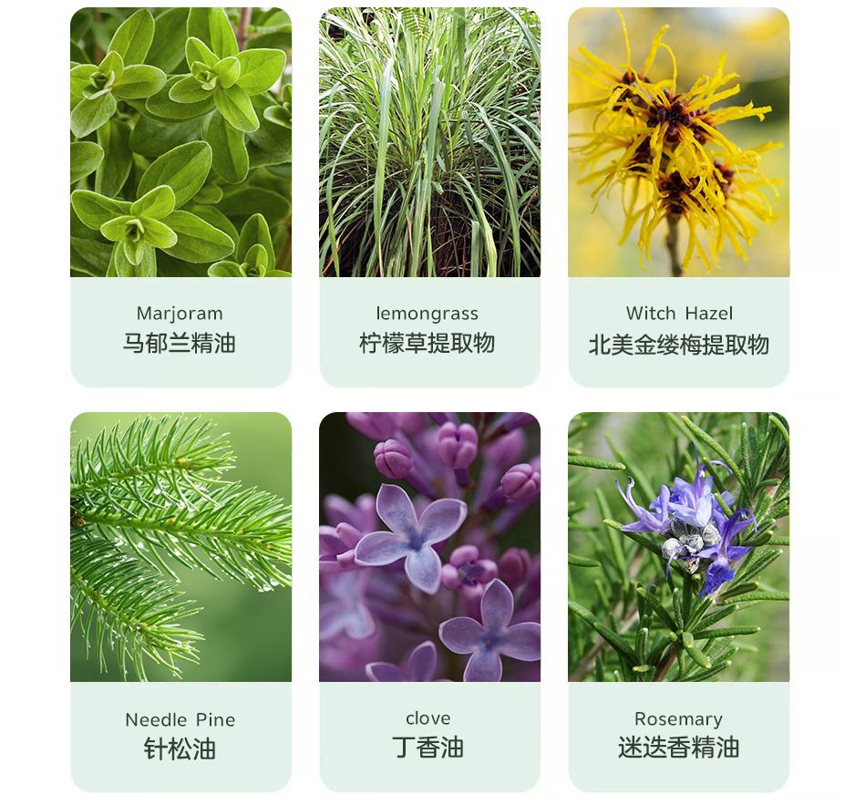 冬季螨虫大爆发 每天1毛不到自动除螨一个月 方便安全省心 螨虫 法国 精油 新浪新闻