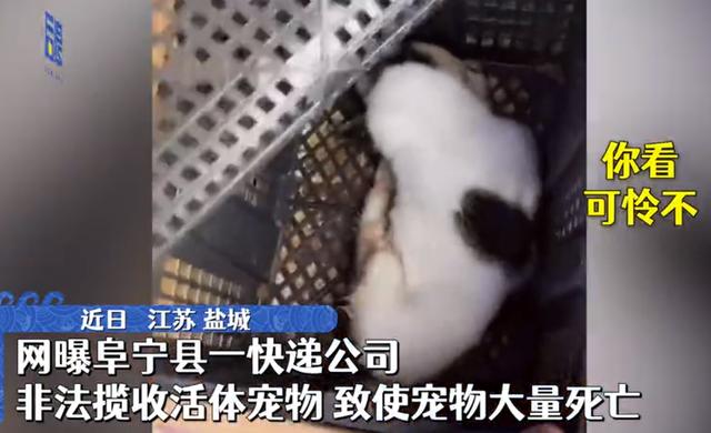 【法治热点早知道】不堪入目！精神残疾女孩被利用做低俗直播，甚至因此进了ICU，3名男主播被刑拘！休闲区蓝鸢梦想 - Www.slyday.coM