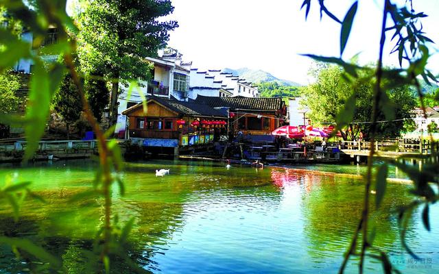 「咸宁之美」在这里,领略江南水乡的风韵