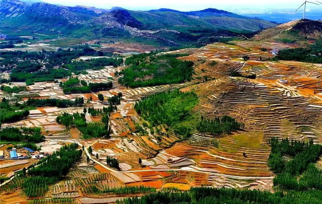 丰收的山东太迷人!鲁西南绝美梯田,惊艳了夏天