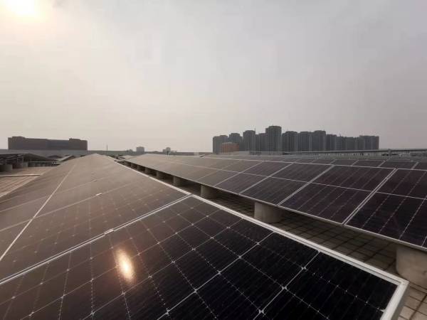 《一起向未来——聚焦2022全国两会》：发力供给侧，畅通大循环休闲区蓝鸢梦想 - Www.slyday.coM