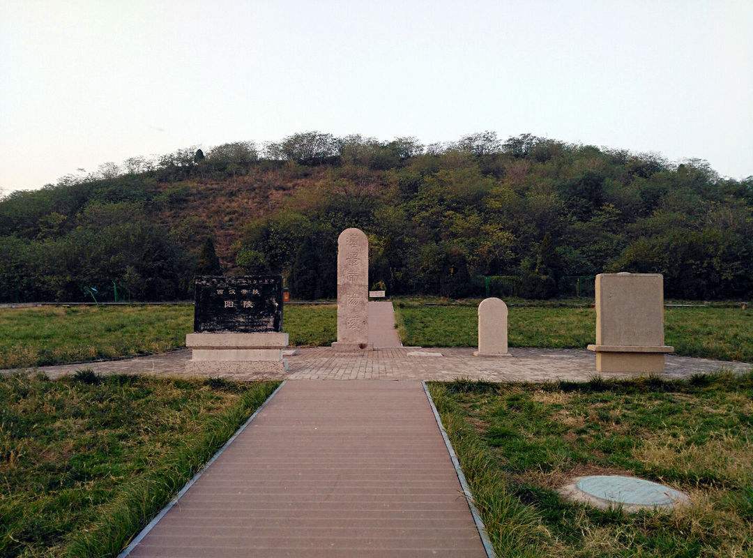 汉景帝的陵墓中,竟然发现古黍,玉米是从美洲传来的说法是不对的