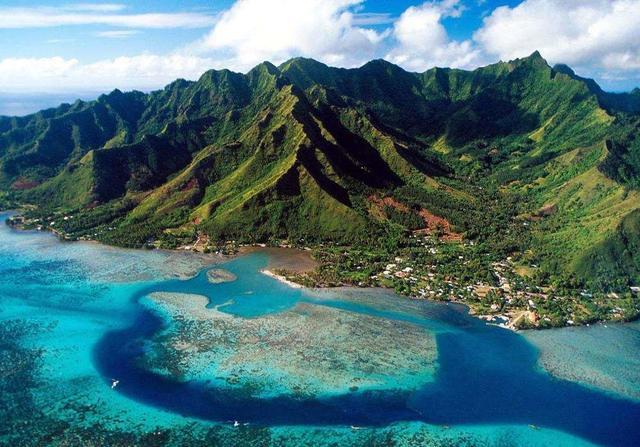 牙买加蓝山山脉十分适宜咖啡种植,为什么蓝山咖啡主要销往日本?