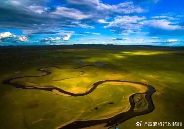 如果有一天我要去流浪