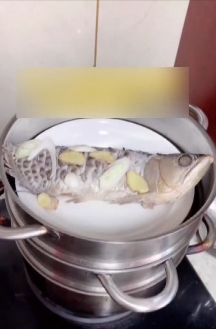 河北石家庄疫情封闭期间一男子杀自养金龙鱼做菜