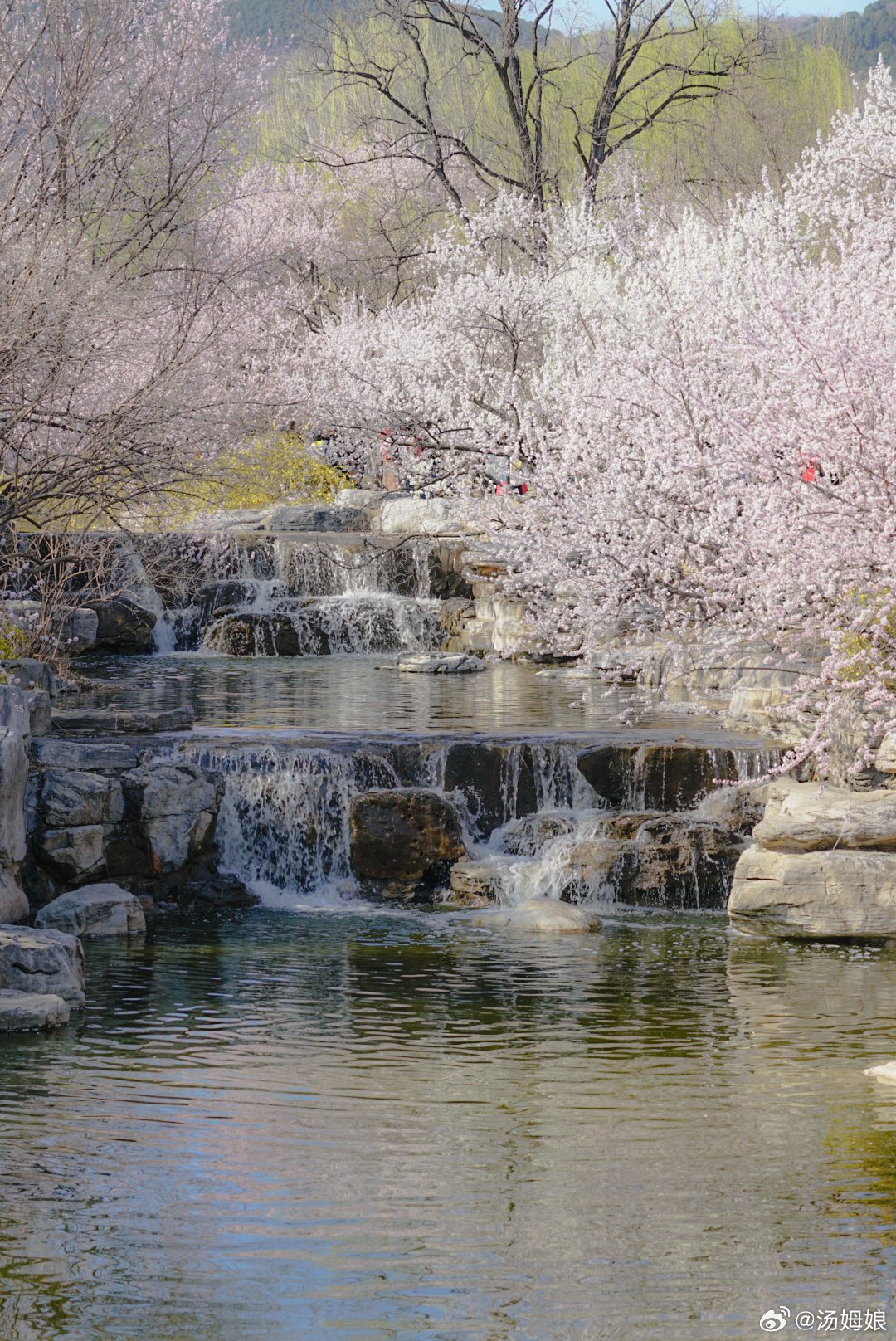 北京植物园 桃花溪水 摄影