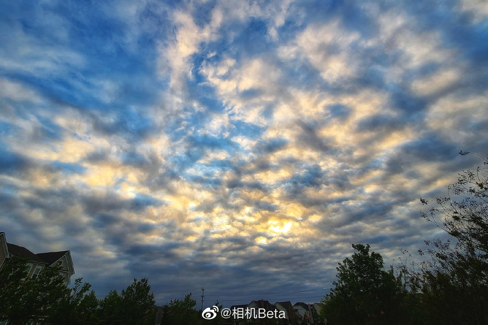 三星galaxy s20 ultra智能拍照手机真机实拍样片