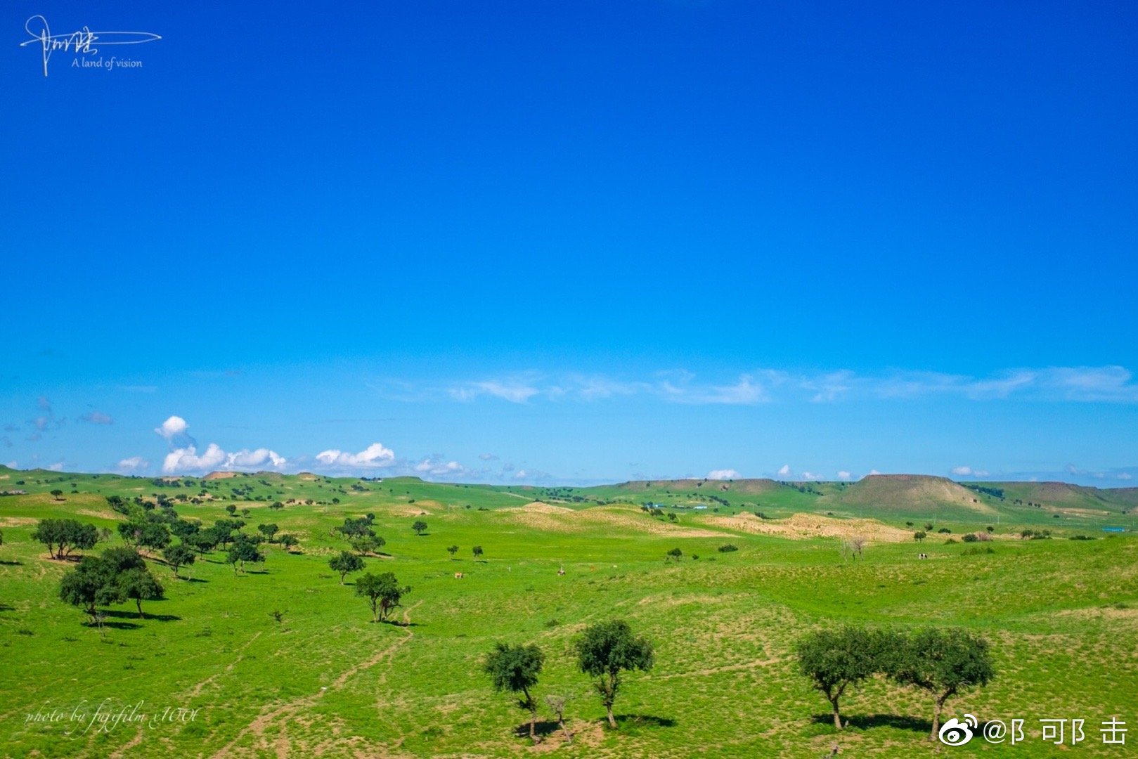 辽阔的内蒙古大草原