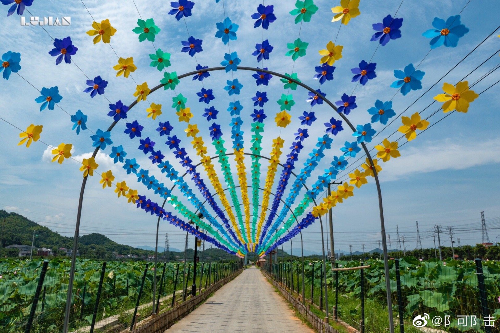 上山村位于杭州富阳新登镇