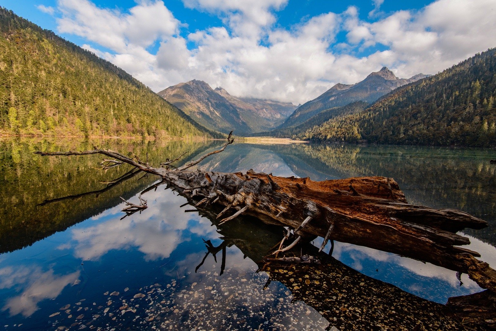 川西伍须海景区将关闭一年,从九月底开始……_高清图集_新浪网