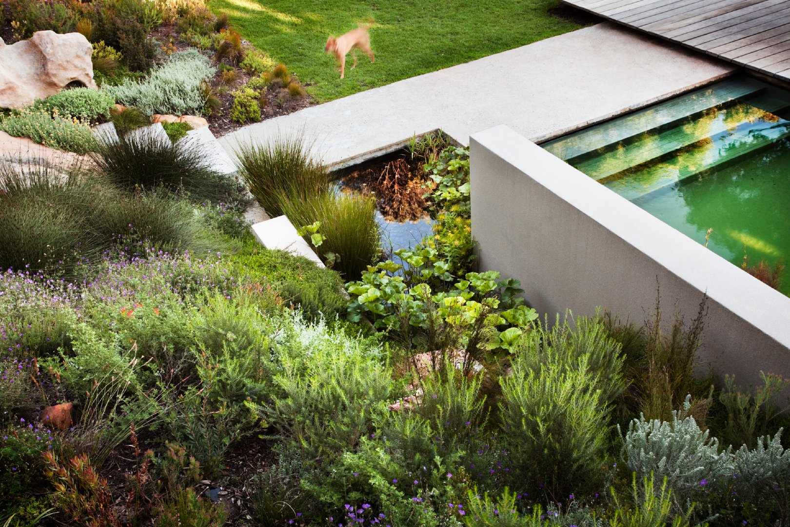 清新的坡地别墅景观融入自然的惬意