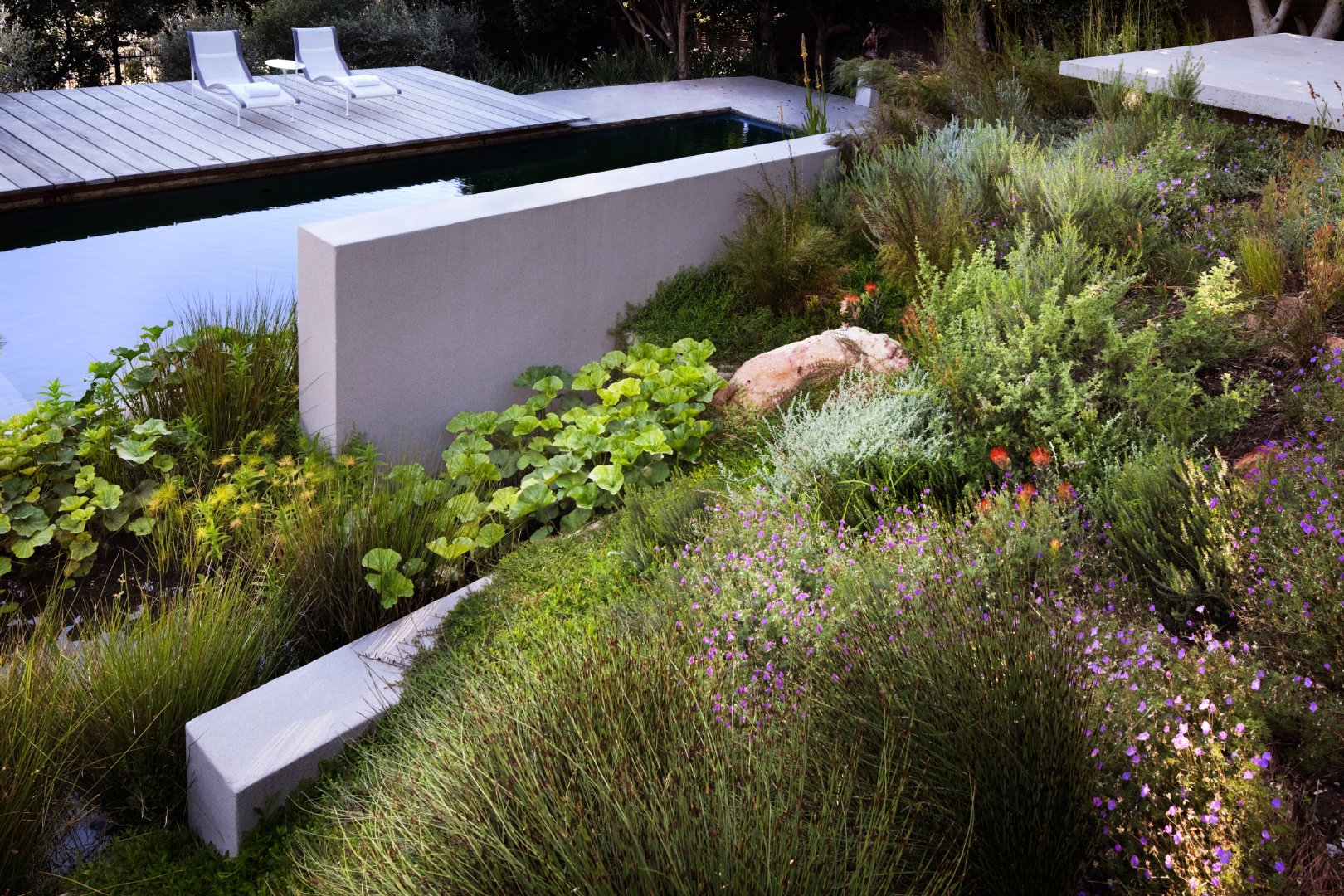 清新的坡地别墅景观融入自然的惬意