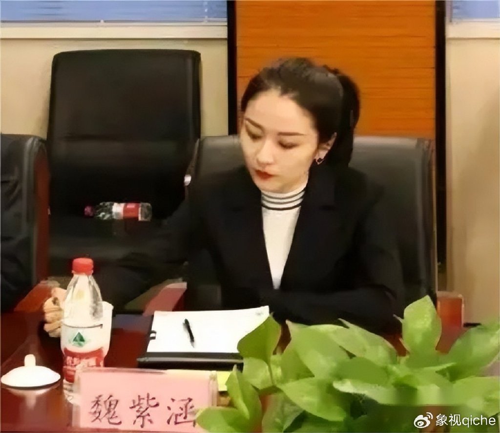 长城告别猫狗大战,魏建军终于要动真格了