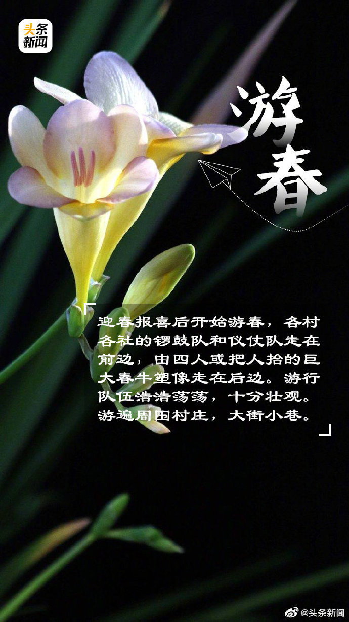 今天立春一起互道春安吧