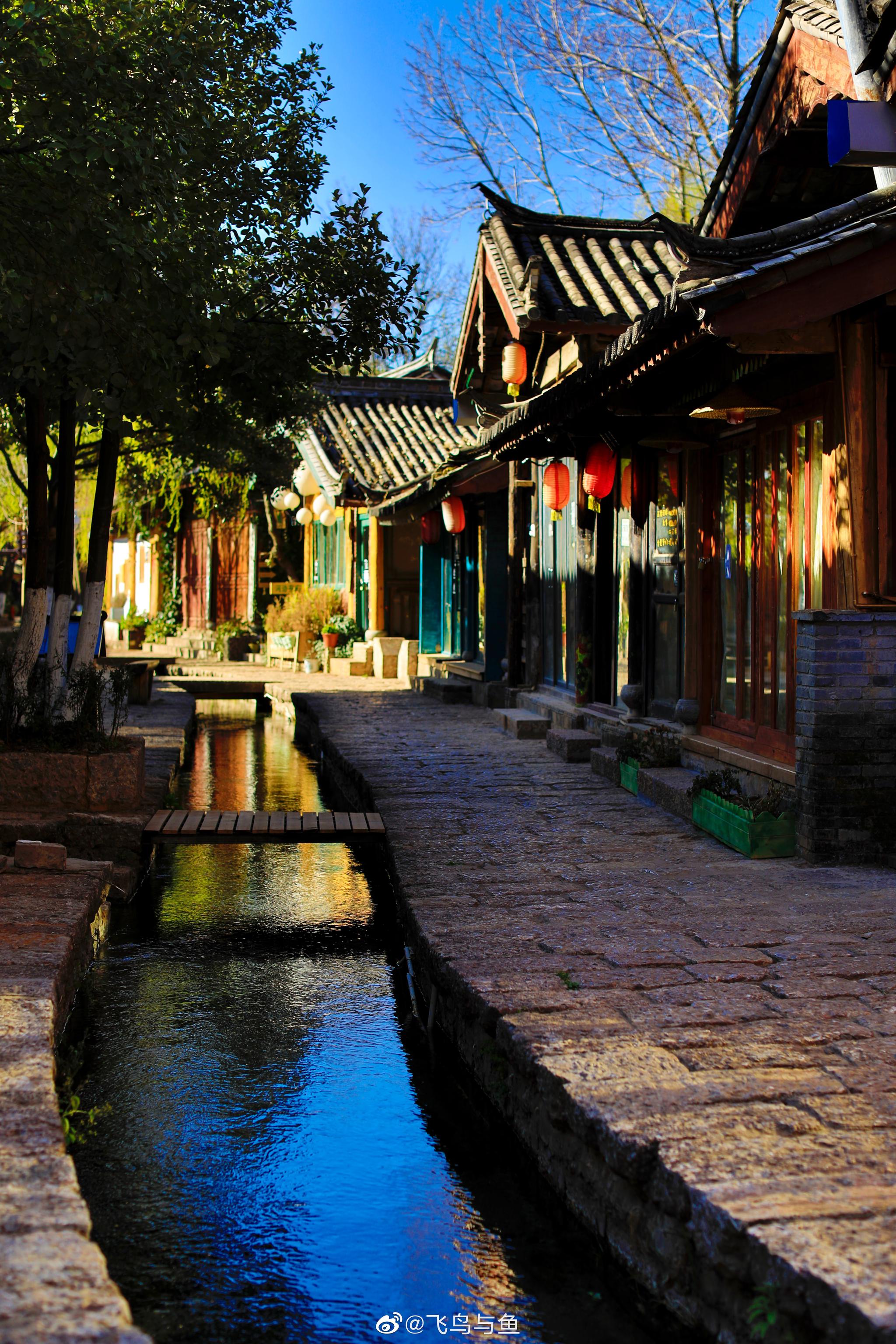 丽江束河古镇的春天街头 小桥流水 春暖花开等你来!