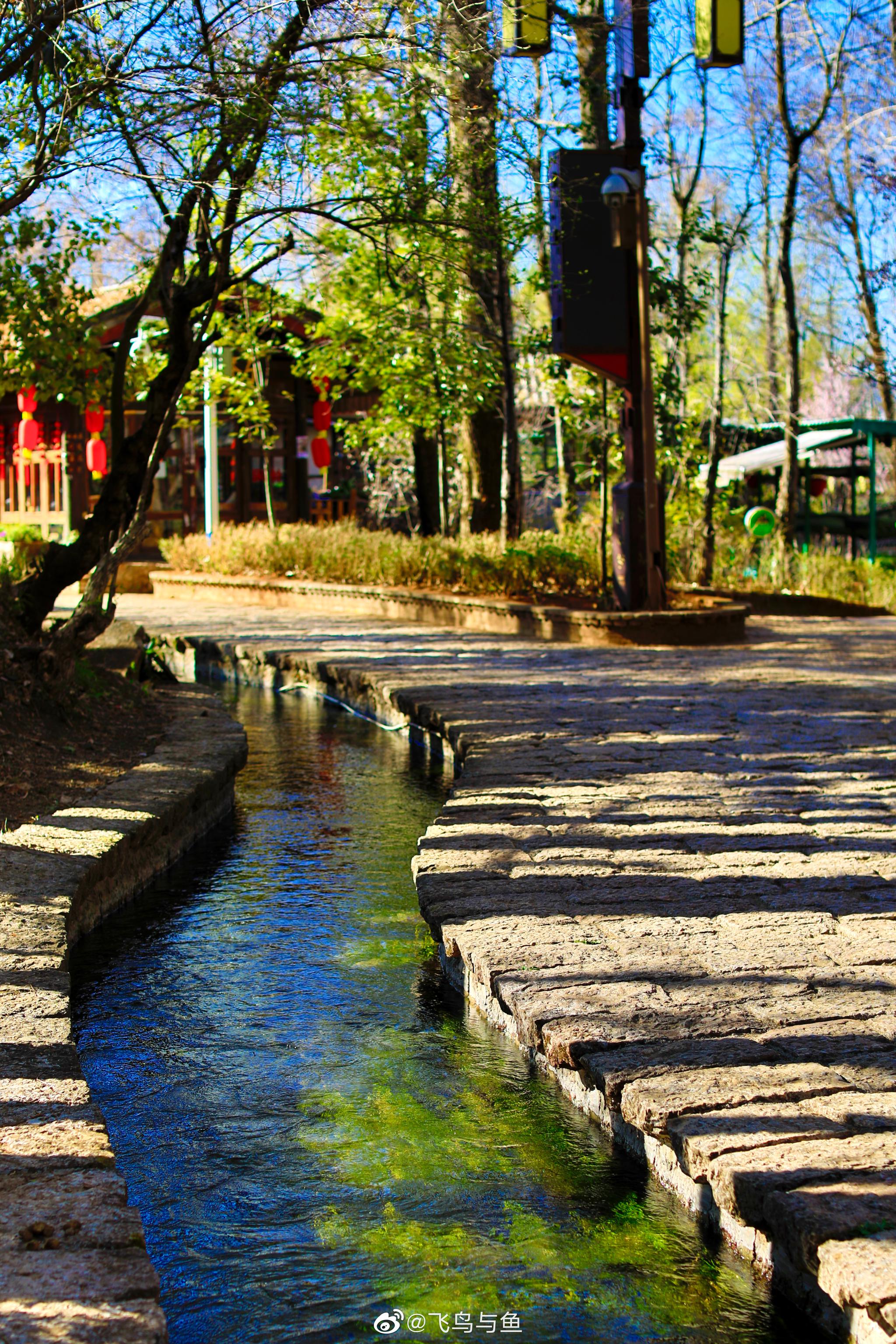 丽江束河古镇的春天街头 小桥流水 春暖花开等你来!