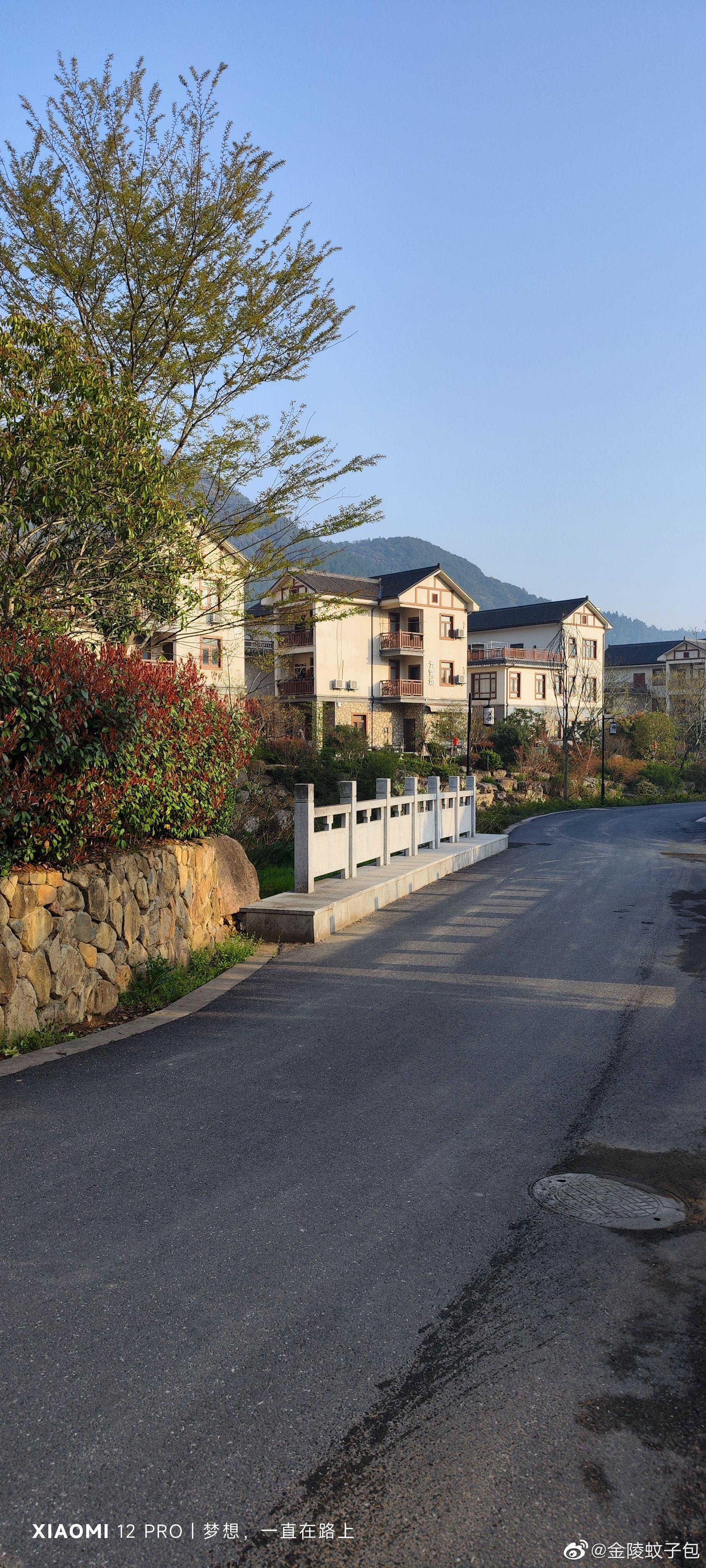 清晨,杭州·径山·禅茶第一村_高清图集_新浪网