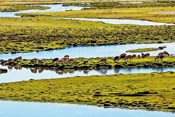 狮泉河藏语称森格藏布西藏西部主要大河之一印度河的上源