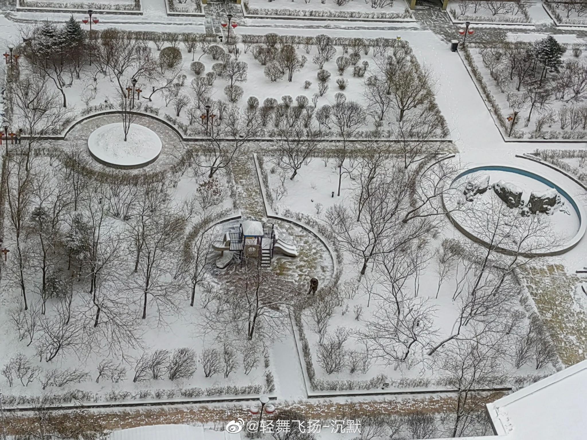 春天到了，南方已是春暖花开，可是哈尔滨的春天还在下雪……__财经头条