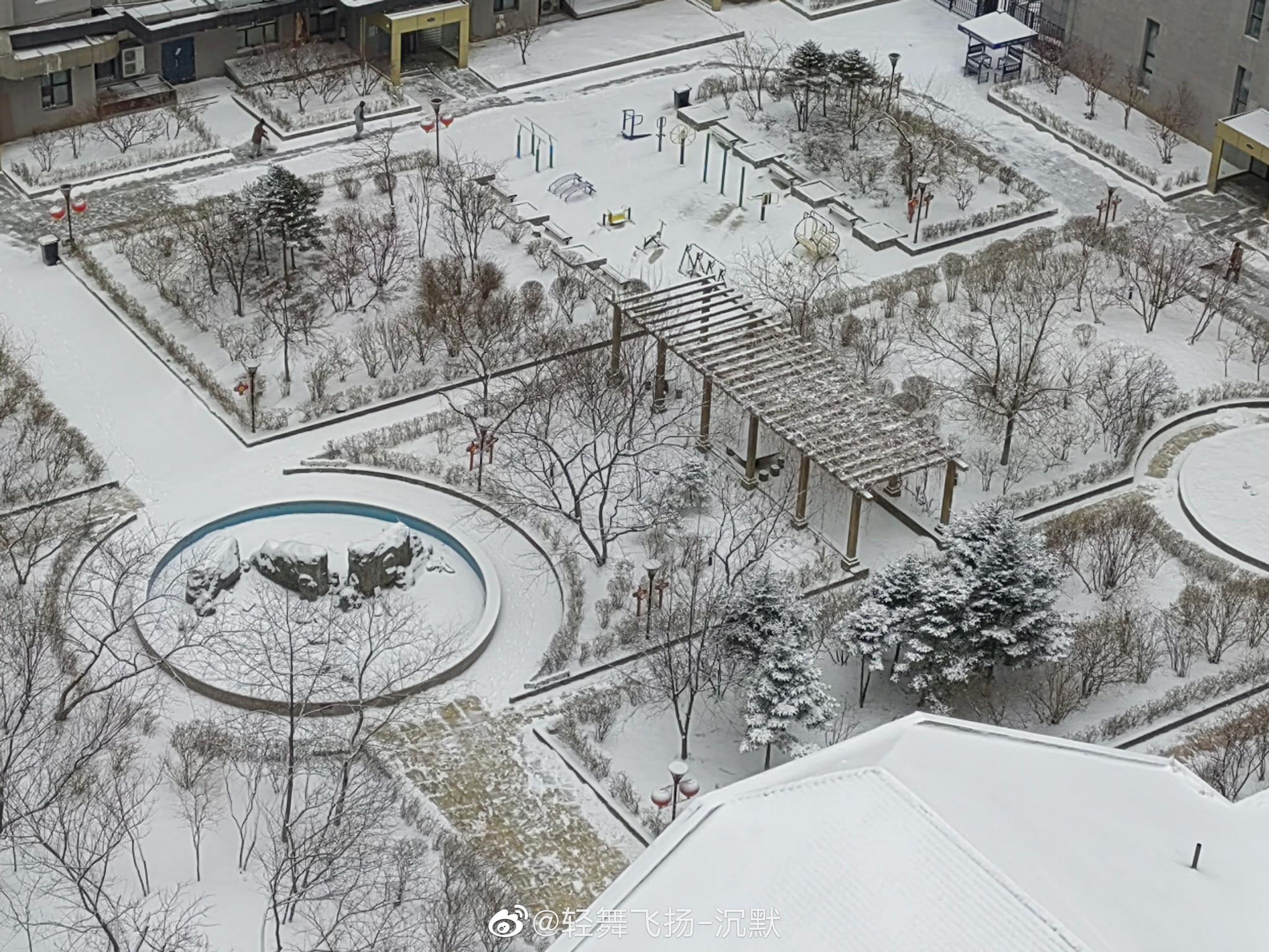 春天到了，南方已是春暖花开，可是哈尔滨的春天还在下雪……__财经头条