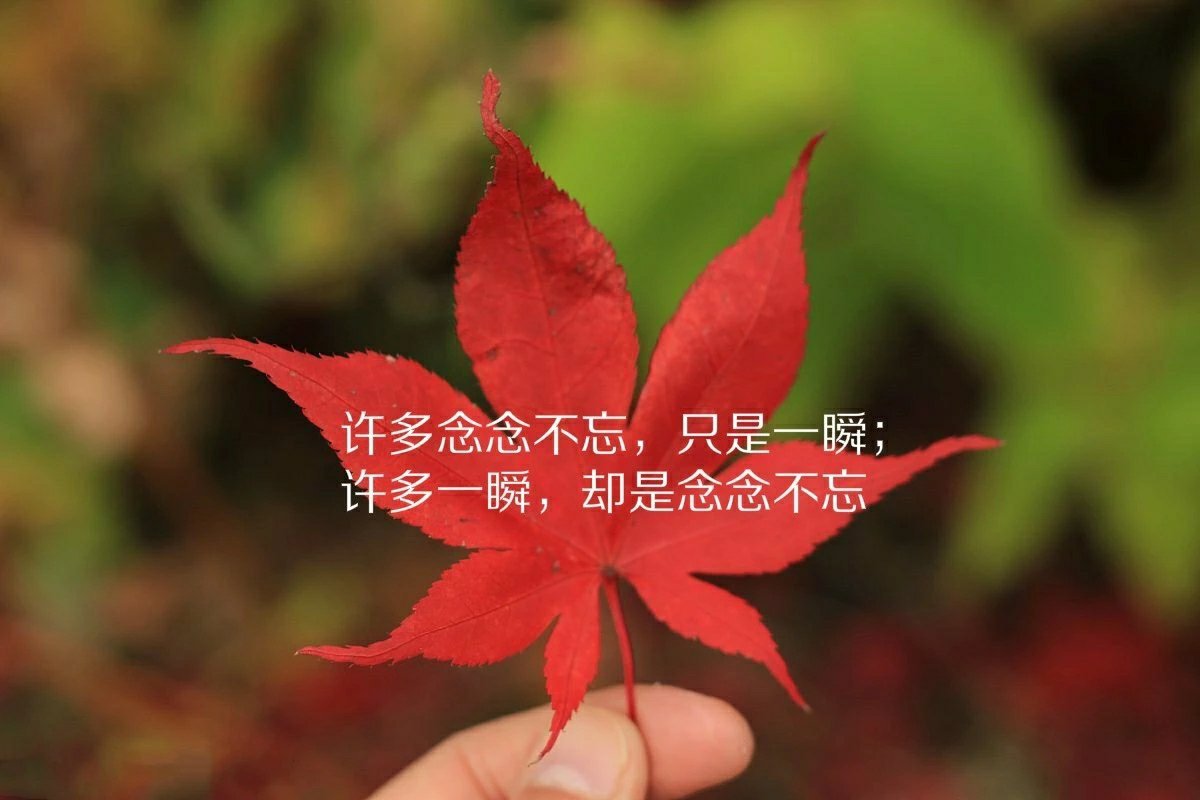 从小到大我们听到最多的是你要懂事你要有出息你要出人头地
