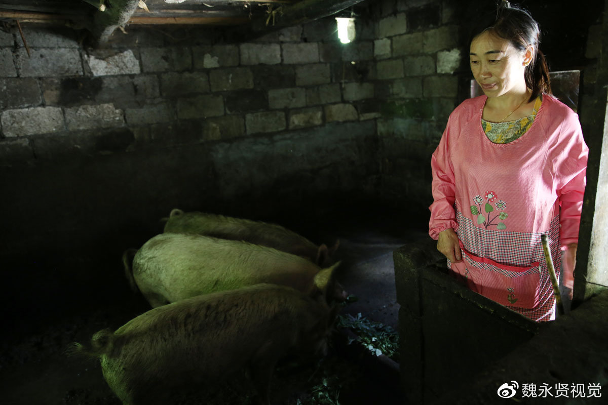 陕西镇坪:农妇开农家乐,客人越来越多,有人年年来她家长住避暑|客人|镇坪|避暑_新浪新闻