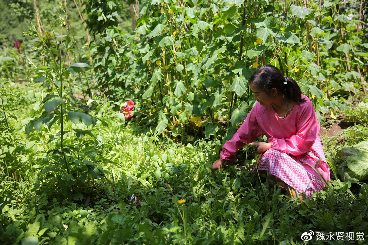 穿越之农妇难为小说有哪些 内容是什么 男主是猎户的古代小说有哪些