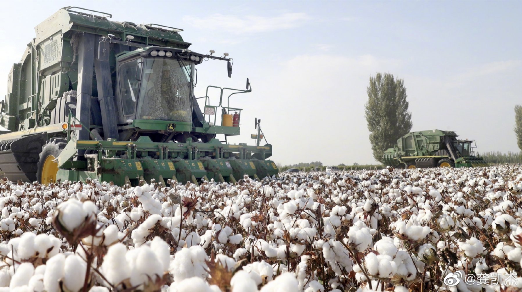 支持国产支持国货支持新疆棉花