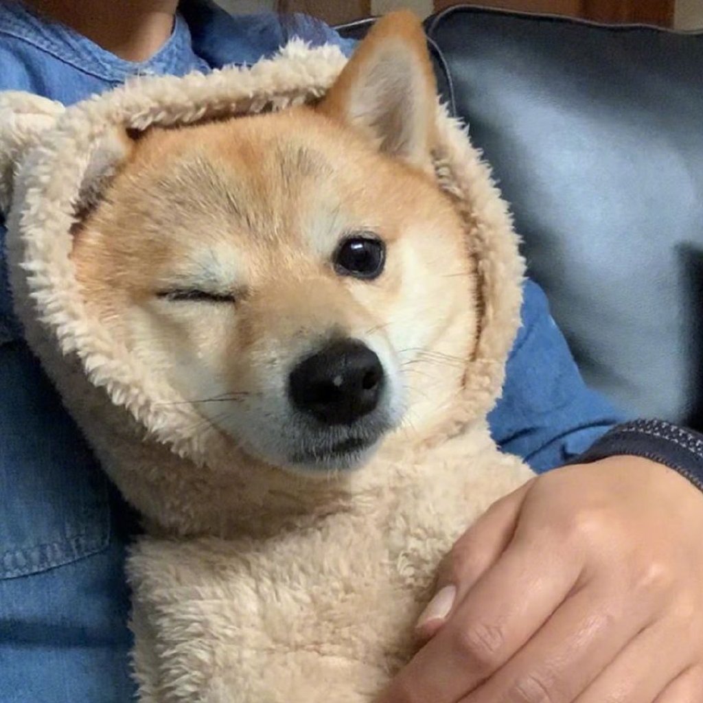 转发对首页来个wink吧