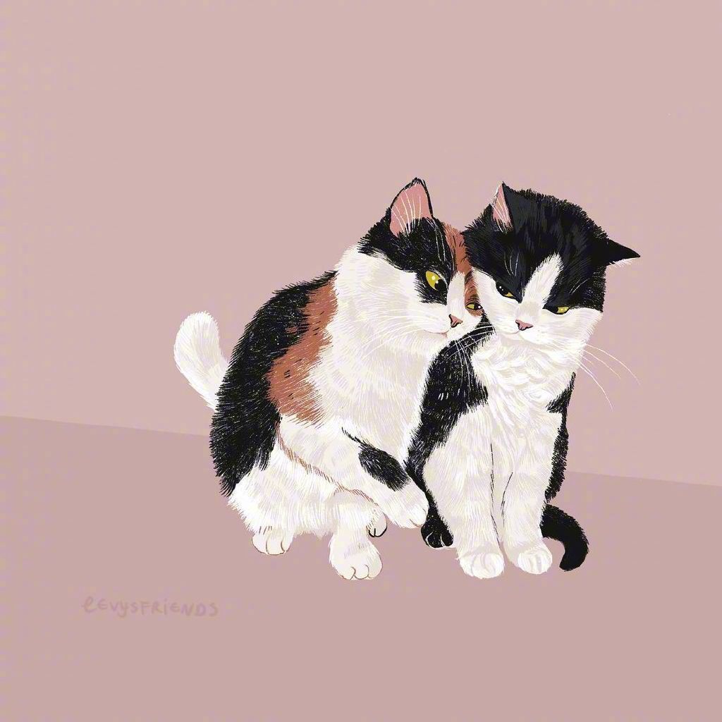 可爱的傲娇小猫咪 96levyfriends