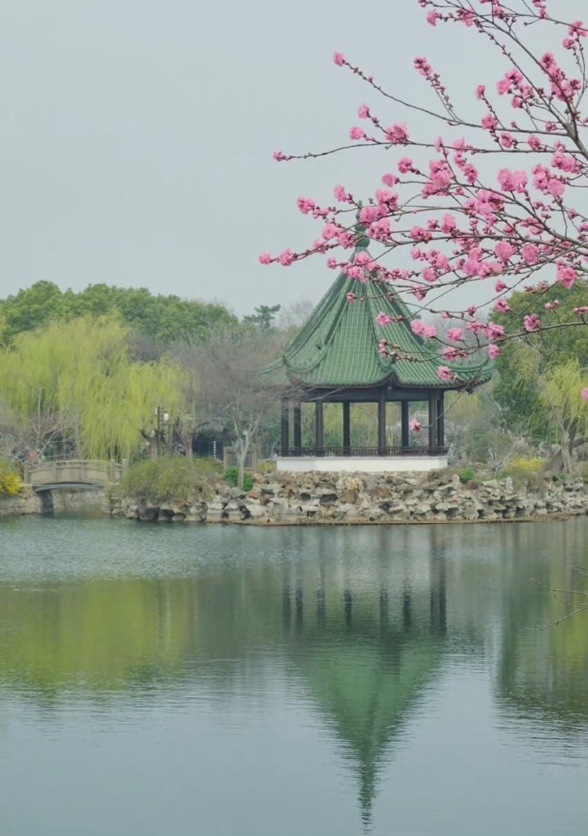 诗家清景在新春绿柳才黄半未匀