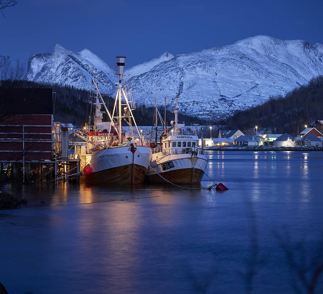 临冬的挪威夜色,寂静到人的骨头里_高清图集_新浪网