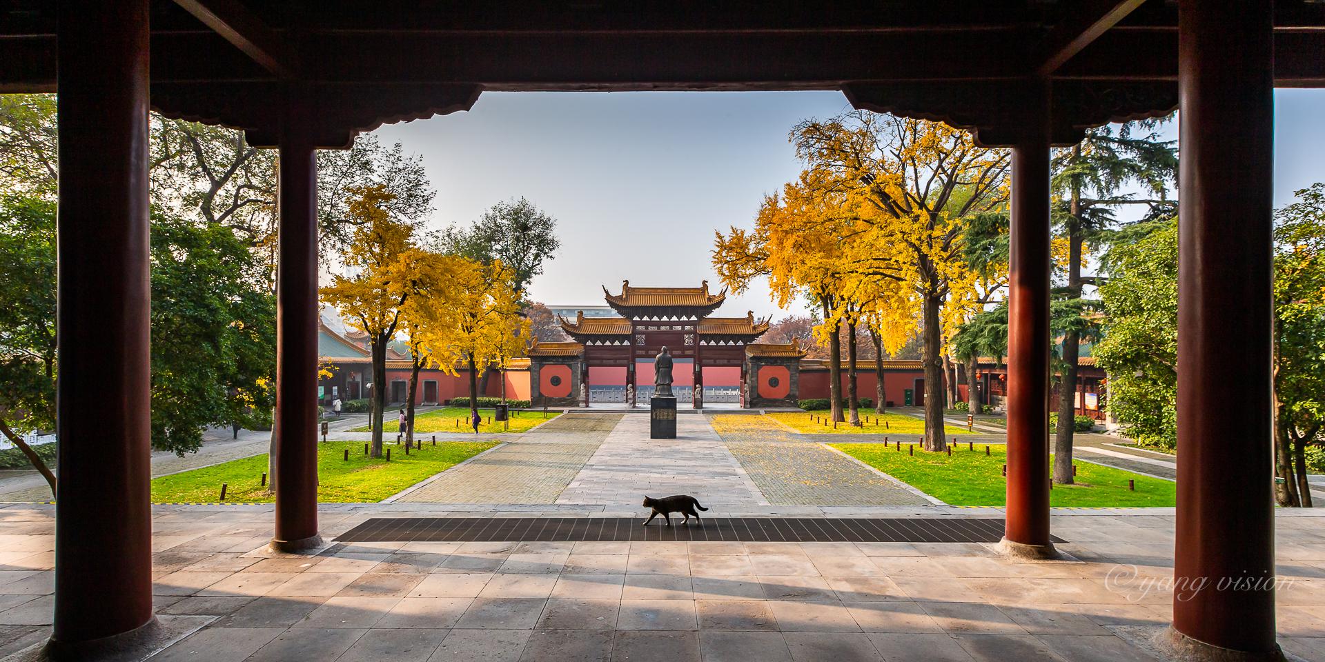 2020古建秋色,朝天宫银杏黄_高清图集_新浪网