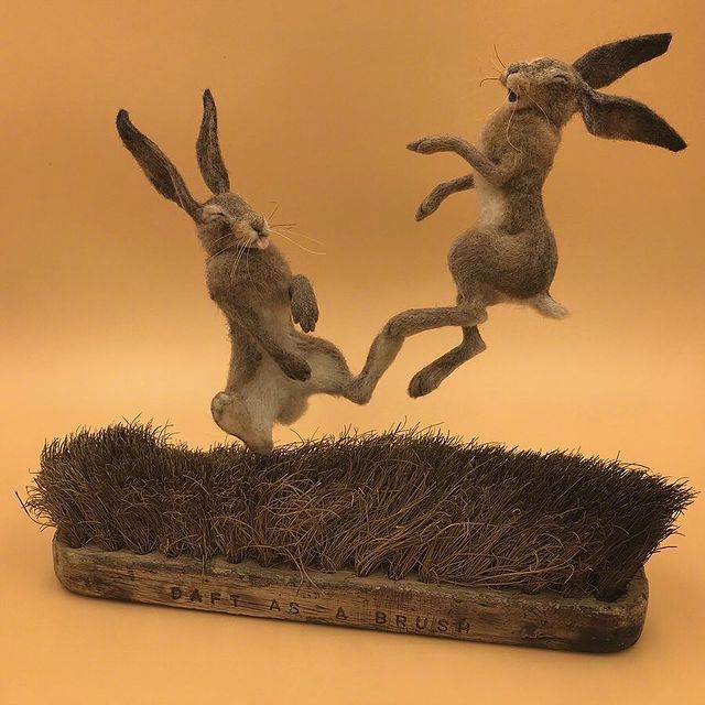 暴力兔子嘿吃俺一jionorthumbrian