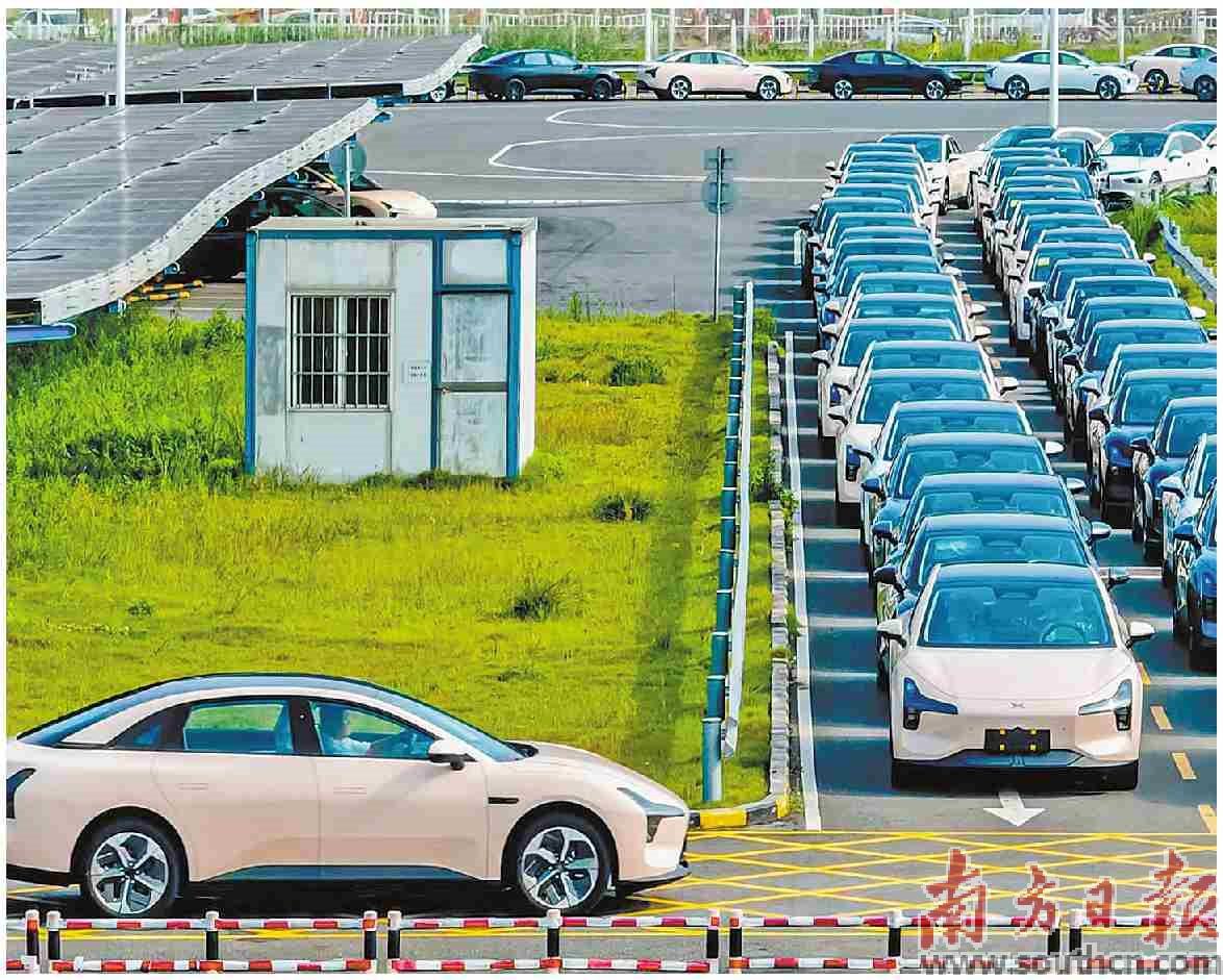 冲刺开门红 力夺全年胜 誓保五年赢|肇庆市|肇庆高新区|广东省|肇庆|产业_新浪新闻