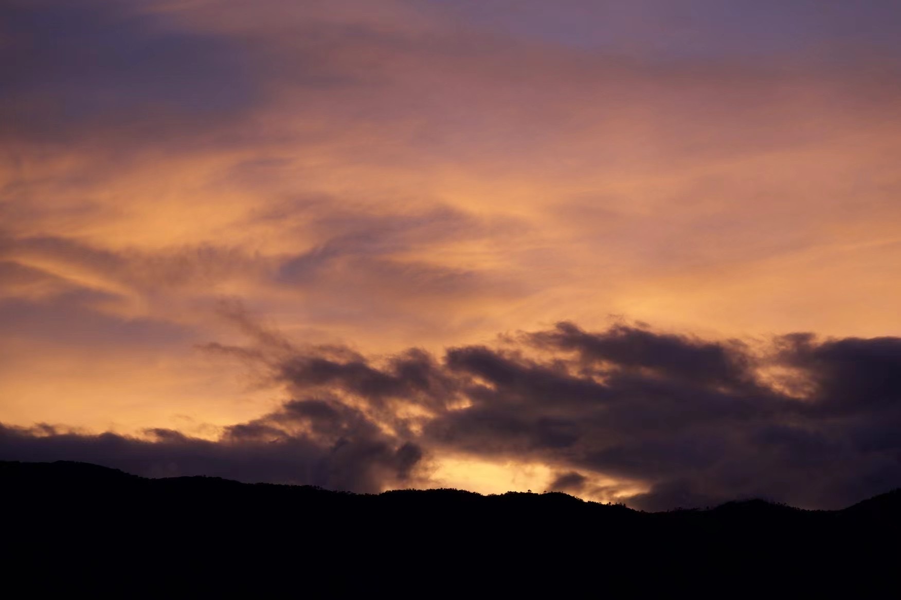 玻璃杯里的文艺复兴：解码高校女生茶社群的隐秘吸引力