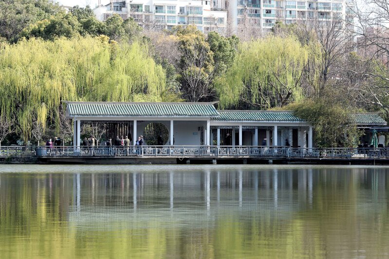 谁说在郊野公园就只能搭帐篷露营？上海人还有这些新玩法……休闲区蓝鸢梦想 - Www.slyday.coM