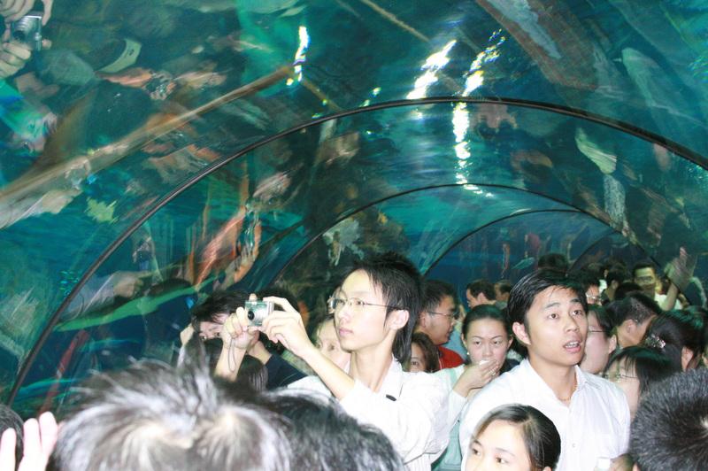 谁说在郊野公园就只能搭帐篷露营？上海人还有这些新玩法……休闲区蓝鸢梦想 - Www.slyday.coM